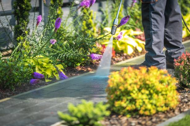 Best Patio and Deck Pressure Washing  in Melville, NY